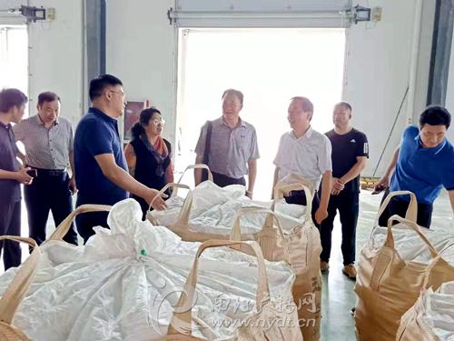 南阳大宗最新情况探析与概述