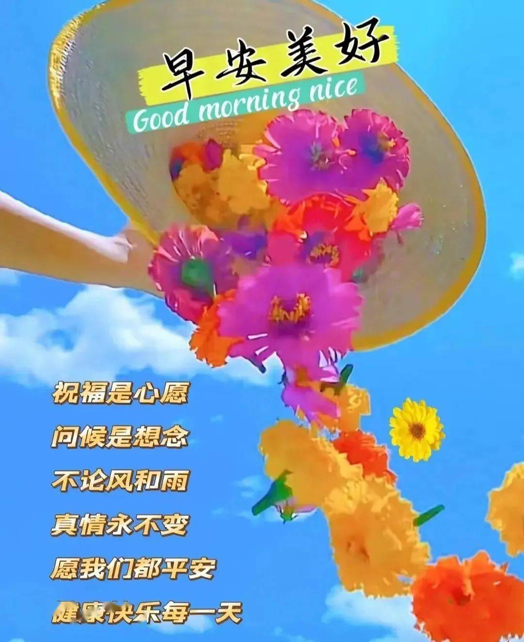 今日最新问候图语，点亮你的日常，开启美好每一天