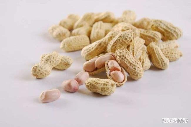 花生十三最新版全面解析与应用指南
