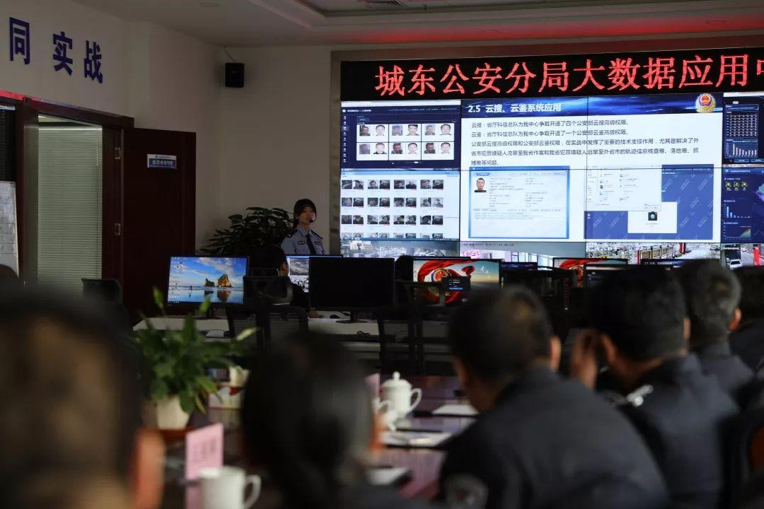 海南宣传片最新，热带风情与现代化魅力的完美融合展示