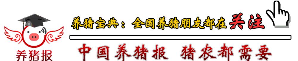 admin 第674页
