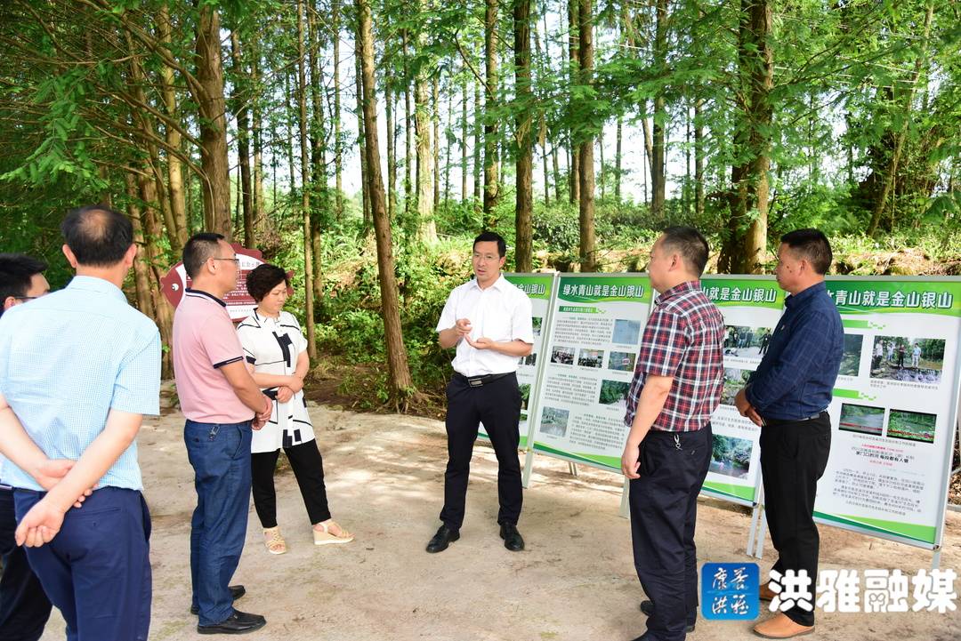洪雅最新动态，城市发展与进步的崭新篇章