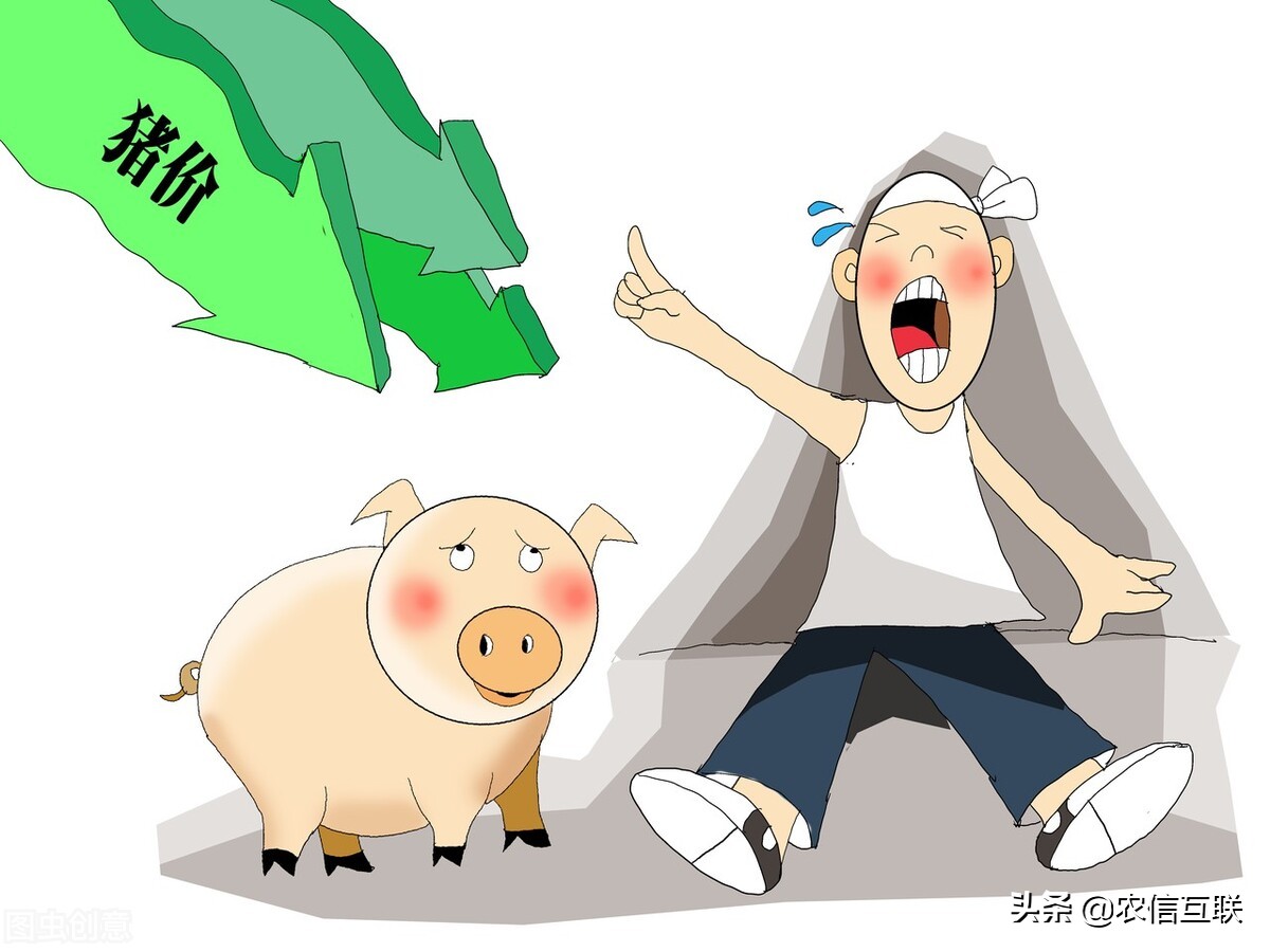admin 第500页