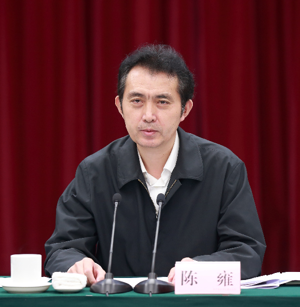 陈雍最新动态，揭开未来无限潜能的序幕